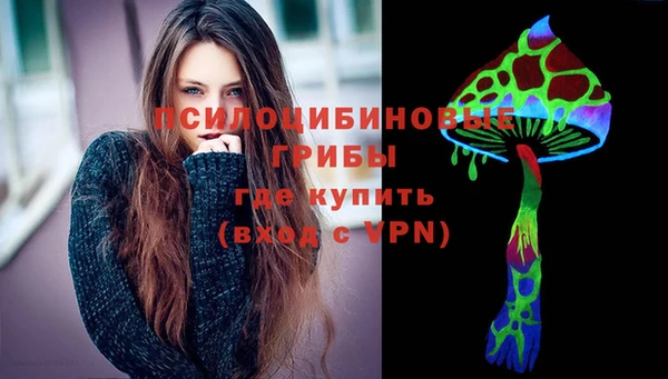 сатива Абинск