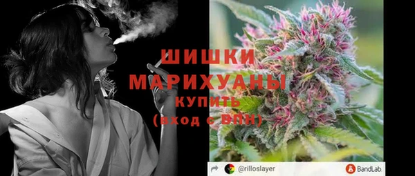 сатива Абинск