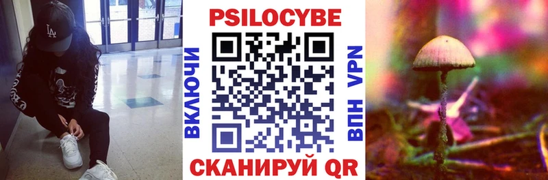 Галлюциногенные грибы Psilocybine cubensis Новая Усмань